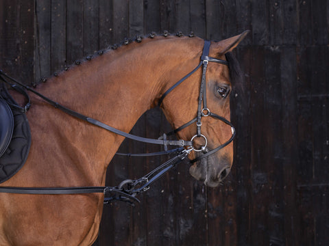 RIDING WORLD rubber bijzetteugels zwart