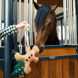 IRH Stable Buddy Gingerbread Man