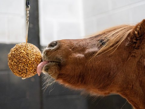 Likit Granola Stalbal Appel