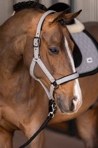 HV Polo Halster Francis grijs